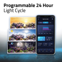 Charger l'image dans la galerie, Rampe d’éclairage à DEL Reef 4.0 Fluval - 22 W - 38-63 cm (15-24 po)
