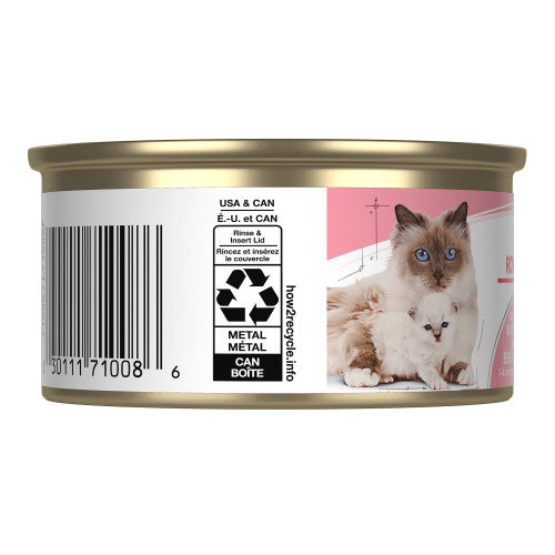 Royal Canin pour Chat Chat Mousse 12 x 85 g : : Animalerie