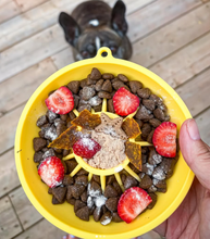 Charger l&#39;image dans la galerie, Dog&#39;s Crush -Bol ralentisseur pour chien - Citron
