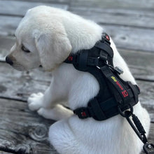 Charger l'image dans la galerie, Smellydogz Harnais sans traction "Comfort" pour chien - Noir
