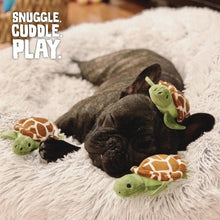 Charger l&#39;image dans la galerie, Snugarooz Jouet pour chien - 4 en 1 - Cache-cache tortues

