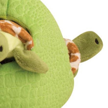 Charger l&#39;image dans la galerie, Snugarooz Jouet pour chien - 4 en 1 - Cache-cache tortues
