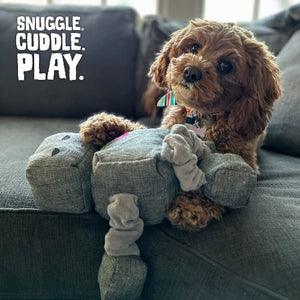 Snugarooz Jouet pour chien - Le robot Ryder