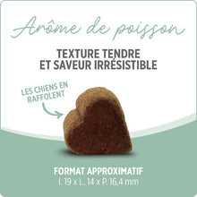 Charger l&#39;image dans la galerie, Suppléments Nutrience Care pour chiens - Peau et pelage - 100 bouchées tendres 400 gr
