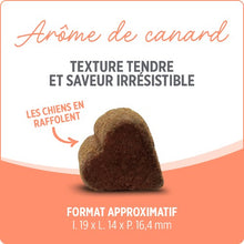 Charger l&#39;image dans la galerie, Suppléments Nutrience Care pour chiens - Probiotique+ - 100 bouchées tendres 400 gr
