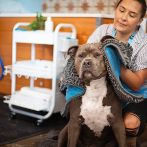 Messy Mutts Tapis de séchage et serviette en microfibre avec poches pour les mains