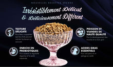 Charger l&#39;image dans la galerie, Nourriture Fromm PurrSnickitty Chat Grandeur Gibier a Plume
