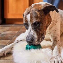 Charger l'image dans la galerie, Woof Pet Jouet pour chiens Pupsicle Power Chewer - Noir
