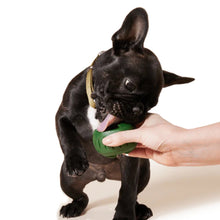 Charger l'image dans la galerie, Woof Pet Moule à gâteries Pupsicle - Jaune

