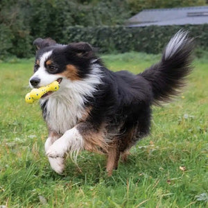 Zeus jouet Nitro - Os flexible