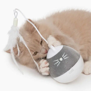 Toupie Pixi - Jouet interactif pour chat - Catit Design