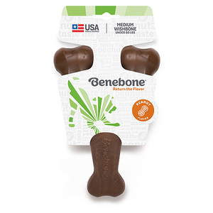 Benebone, Wishbone , Beurre d'arachide - Boutique Le Jardin Des Animaux -Jouet chienBoutique Le Jardin Des Animaux283-00404