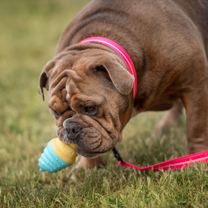 ICE TOY™ - Jouet rafraîchissant pour chien avec cône de glace | Cornet Coton Candy