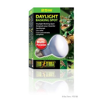 Ampoule à lumière du jour Exo Terra pour lézarder - Boutique Le Jardin Des Animaux -Eclairage reptileBoutique Le Jardin Des AnimauxPT2195