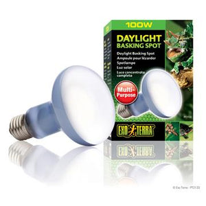 Ampoule à lumière du jour Exo Terra pour lézarder, R25, 100 W - Boutique Le Jardin Des Animaux -Eclairage reptileBoutique Le Jardin Des AnimauxPT2133