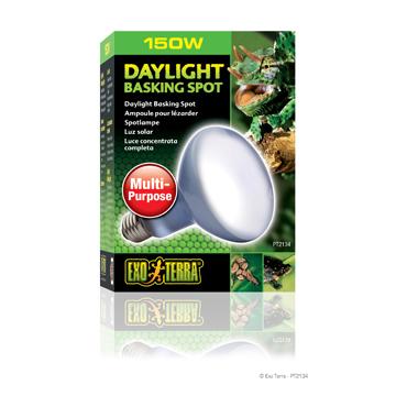 Ampoule à lumière du jour Exo Terra pour lézarder, R30, 150 W - Boutique Le Jardin Des Animaux -Eclairage reptileBoutique Le Jardin Des AnimauxPT2134