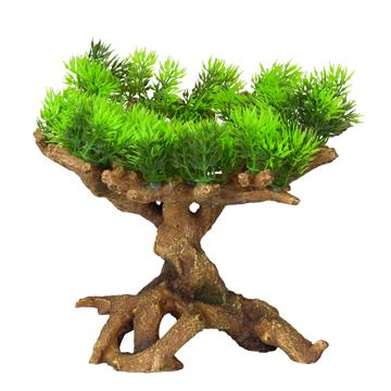 Aqua Della Ornement branche flora-Scape avec plante - Boutique Le Jardin Des Animaux -DécorationBoutique Le Jardin Des AnimauxVP1113