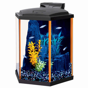 Aquarium équipé Aqueon, NeoGlow LED, 8 gallons, orange - Boutique Le Jardin Des Animaux -AquariumBoutique Le Jardin Des Animaux22675