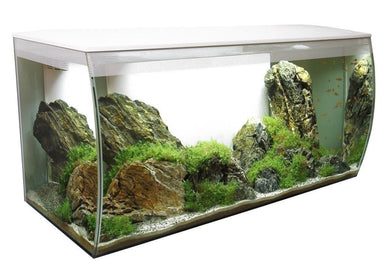 Marina - Aquarium équipé 10 Gal – Animalerie Boutique Tropicale