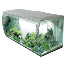 Charger l&#39;image dans la galerie, Aquarium équipé FLEX Fluval, blanc, 123 L (32,5 gal US) - Boutique Le Jardin Des Animaux -AquariumBoutique Le Jardin Des Animaux14996
