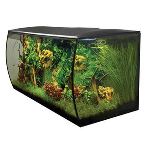 Aquarium équipé FLEX Fluval, noir, 123 L (32,5 gal US) - Boutique Le Jardin Des Animaux -AquariumBoutique Le Jardin Des Animaux14995
