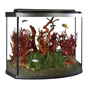 Aquarium équipé haut de gamme 26 Fluval à devant arrondi avec éclairage à DEL, 98 L (26 gal US) - Boutique Le Jardin Des Animaux -AquariumBoutique Le Jardin Des Animaux15227