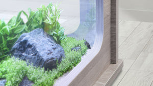 AQUATABLE 81 gallons, couleur variée - Boutique Le Jardin Des Animaux -AquariumBoutique Le Jardin Des Animaux73151