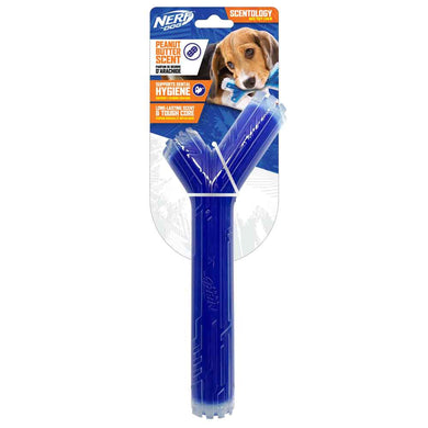 Bâton Scentology Nerf Dog, parfum de beurre d’arachide, bleu, 25 cm (10 po) - Boutique Le Jardin Des Animaux -jouet chienBoutique Le Jardin Des AnimauxVP6946