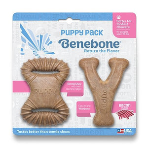 Benebone chiot, Wishbone et Dental Chew, Bacon - Boutique Le Jardin Des Animaux -Jouet chienBoutique Le Jardin Des Animaux283-00449