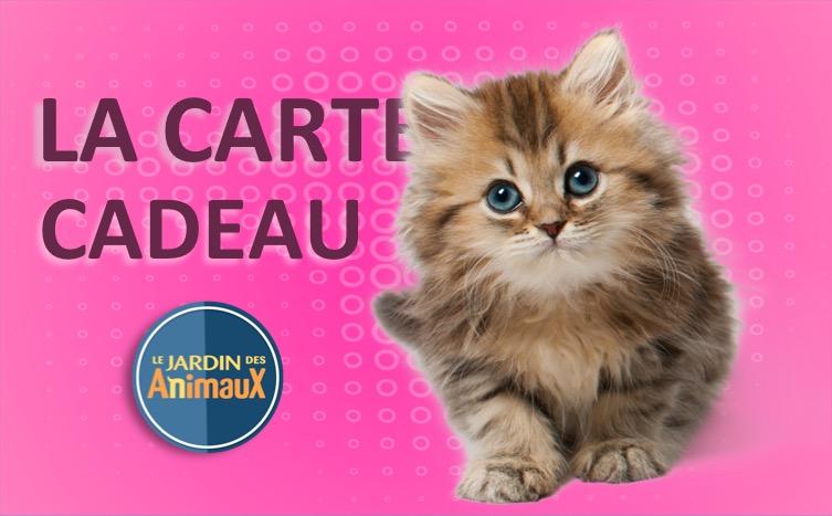 Carte cadeau (Physique pour achat en magasin) - Boutique Le Jardin Des Animaux -Boutique Le Jardin Des AnimauxCarte cadeau chat-1