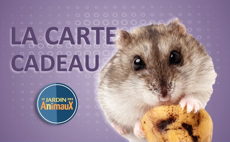 Carte cadeau (Physique pour achat en magasin) - Boutique Le Jardin Des Animaux -Boutique Le Jardin Des AnimauxCarte cadeau Hamster-1