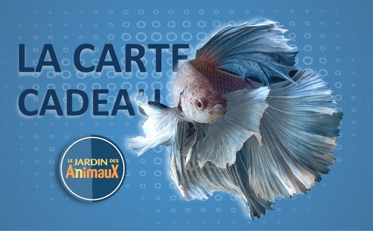 Carte cadeau (Physique pour achat en magasin) - Boutique Le Jardin Des Animaux -Boutique Le Jardin Des AnimauxCarte cadeau poisson-1