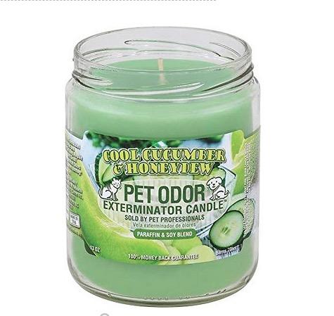 Chandelle désodorisante, concombre frais et miellat, pot de 13 oz - Boutique Le Jardin Des Animaux -entretien maisonBoutique Le Jardin Des AnimauxHOY