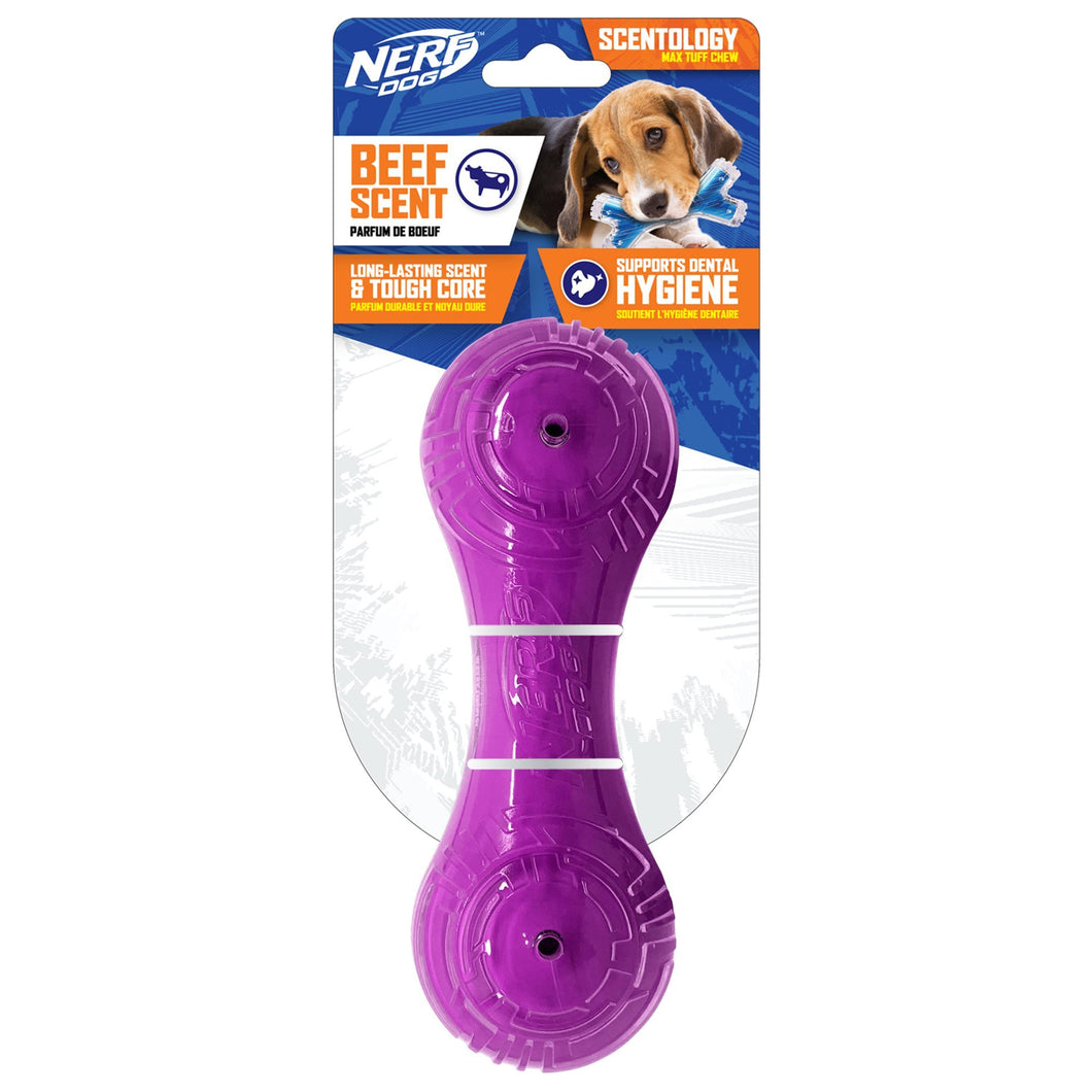 Haltère Scentology Nerf Dog, parfum de bœuf, violet, 18 cm (7 po) - Boutique Le Jardin Des Animaux -jouet chienBoutique Le Jardin Des AnimauxVP6944
