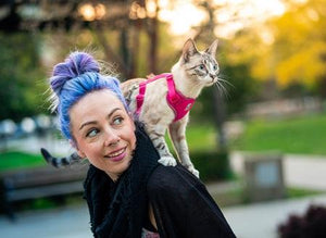 Harnais pour chat Bleu - ADVENTURE KITTY HARNESS - RC Pets - Boutique Le Jardin Des Animaux -CollierBoutique Le Jardin Des Animaux