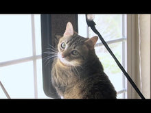 Charger et lire la vidéo dans la visionneuse de la Galerie, K&amp;H \ Kitty Sill - EZ Window Mount, Tablette de bord de fenêtre pour chat
