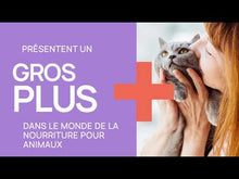 Charger et lire la vidéo dans la visionneuse de la Galerie, Nourriture pour chat Nutrience Care  Soins urinaires
