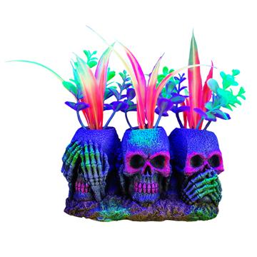 iGlo ornement 3 crânes et plantes petits - Boutique Le Jardin Des Animaux -DécorationBoutique Le Jardin Des Animaux11976