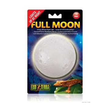 Lampe de nuit Full Moon Exo Terra, 1 W - Boutique Le Jardin Des Animaux -Eclairage reptileBoutique Le Jardin Des AnimauxPT2360