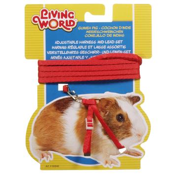 Living World Ensemble laisse et harnais pour cochon d'inde - Boutique Le Jardin Des Animaux -Accessoire petit mammifèreBoutique Le Jardin Des Animaux60840