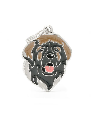 Médaille pour chien collection Friends, LEONBERGER - Boutique Le Jardin Des Animaux -médailleBoutique Le Jardin Des AnimauxMF93