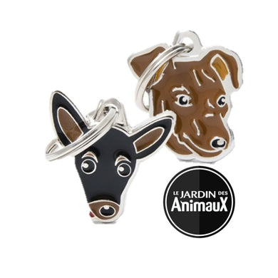 Médaille pour chien collection Friends, PINSCHER, couleurs variées - Boutique Le Jardin Des Animaux -médailleBoutique Le Jardin Des AnimauxMF26BLACK