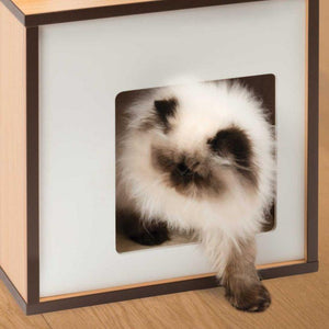 Meuble Box Vesper Petit – noyer, arbre à chat - Boutique Le Jardin Des Animaux -Griffoir, meuble et litBoutique Le Jardin Des Animaux