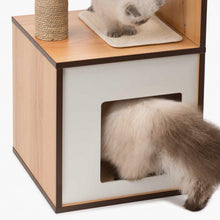 Charger l&#39;image dans la galerie, Meuble Box Vesper Petit – noyer, arbre à chat - Boutique Le Jardin Des Animaux -Griffoir, meuble et litBoutique Le Jardin Des Animaux
