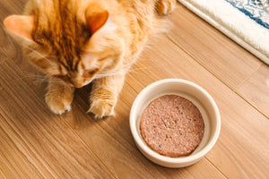 Nourriture crue pour chat Faim Museau - Canard et boeuf - Boutique Le Jardin Des Animaux -Nourriture chatBoutique Le Jardin Des Animaux