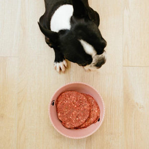 Nourriture crue pour chien Faim Museau - Canard Hypoallergénique - Boutique Le Jardin Des Animaux -Nourriture chienBoutique Le Jardin Des Animaux