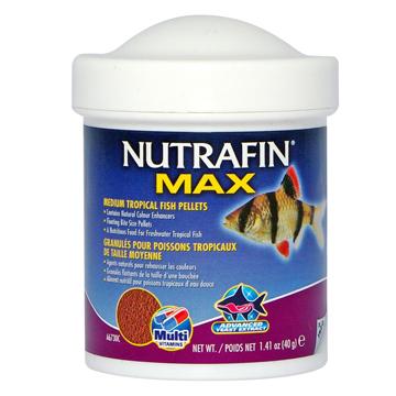 Nutrafin Max granulés pour poissons tropicaux, - Boutique Le Jardin Des Animaux -Nourriture PoissonBoutique Le Jardin Des Animauxa6730