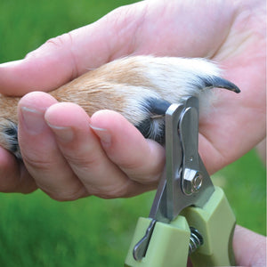 Safari coupe griffe professionnel pour chien - Boutique Le Jardin Des Animaux -ToilettageBoutique Le Jardin Des AnimauxSW6106