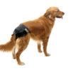 Charger l&#39;image dans la galerie, Savic Comfort Nappy couche de chien - Boutique Le Jardin Des Animaux -SoinsBoutique Le Jardin Des Animauxd-3380
