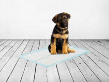 Charger l&#39;image dans la galerie, Savic Serviettes d’entraînement pour chien Xlarge - Boutique Le Jardin Des Animaux -entrainement proprrtéBoutique Le Jardin Des Animauxd-3523
